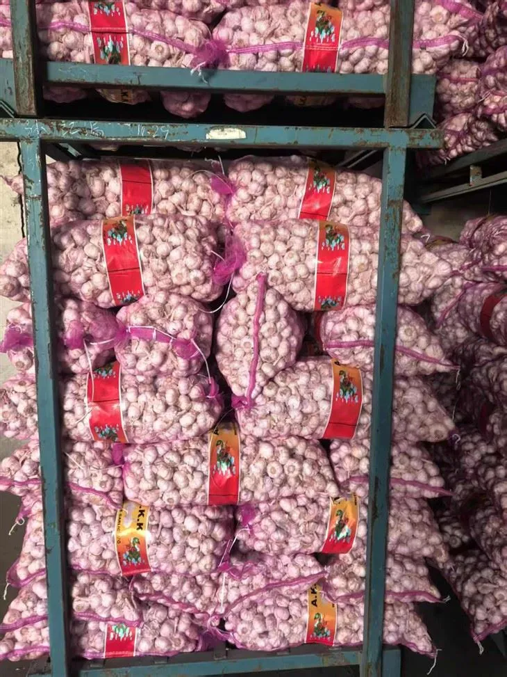 7f37216d3a292b9ee2d37175122a0e7